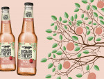 Orchard Thieves Cider goes pink