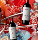 Penfolds Announce Their 2023 Collection