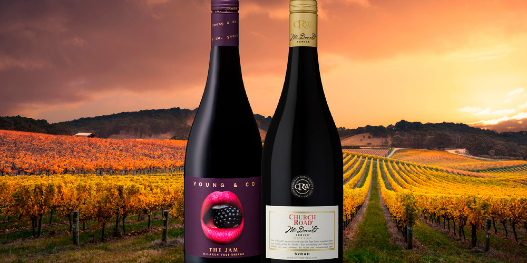 Syrah vs Shiraz | Toast