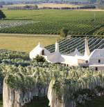What Makes Hawke's Bay Perfect For Wine-Growing?