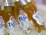 Beer News: Tiger Launches new premium cold-filtered beer